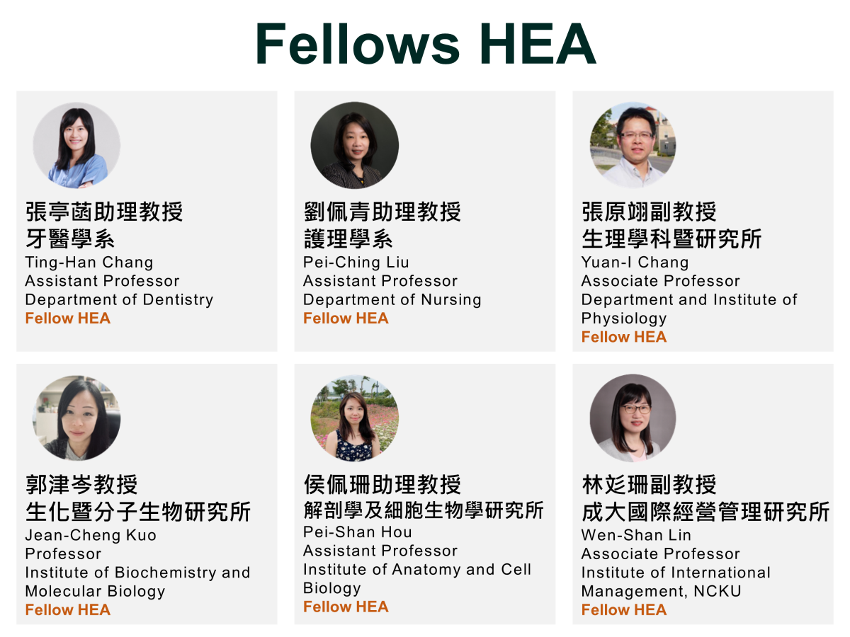 HEA Fellows